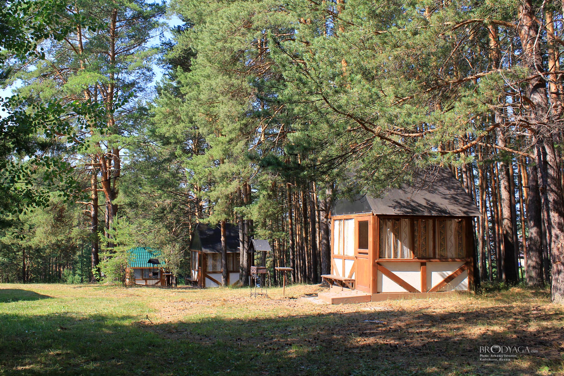 Kadnikovo (Кадниково)